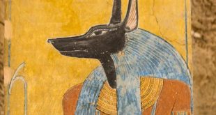 Anubis